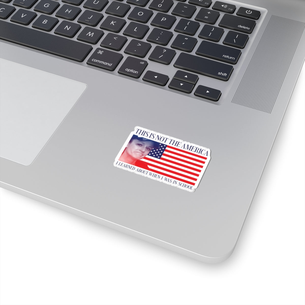 Robyn's America Sticker