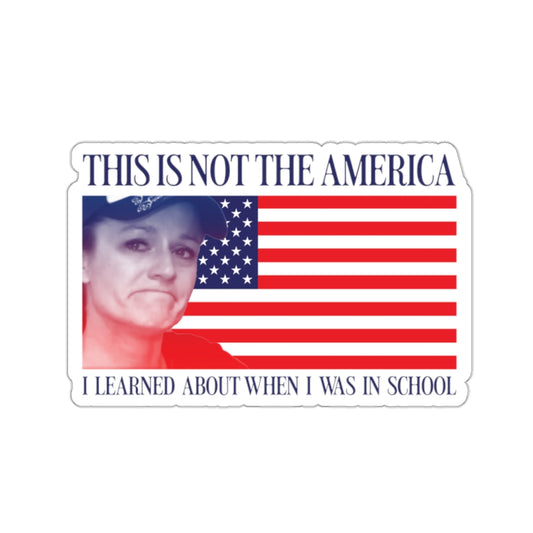 Robyn's America Sticker