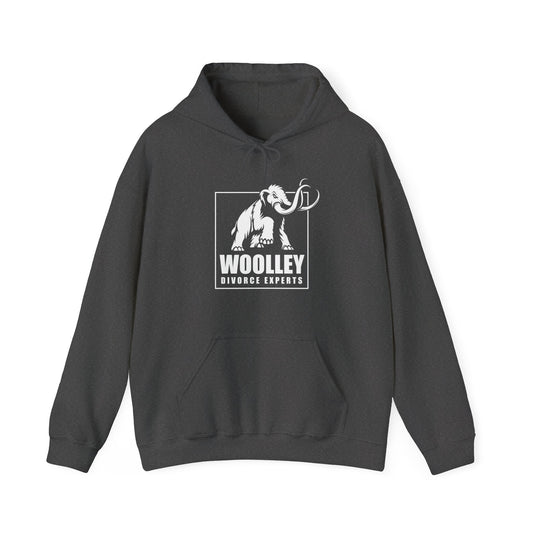 Woolley Mammoth Divorce Experts Hoodie