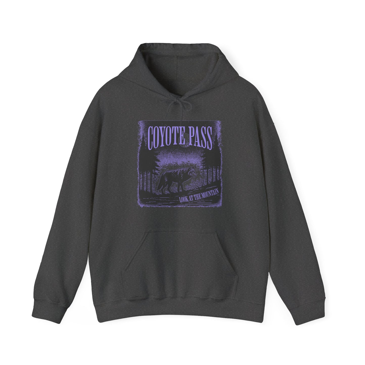 Coyote Pass Grunge Hoodie